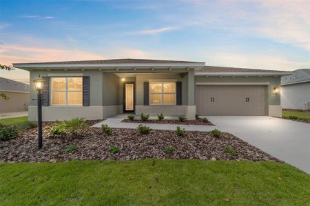 New construction Single-Family house 10045 Sw 106Th Cir, Ocala, FL 34481 plan Ariana - image