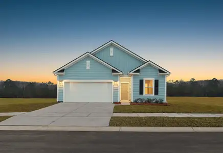 New construction Single-Family house 3056 Macaron Ct, Ravenel, SC 29470 - image