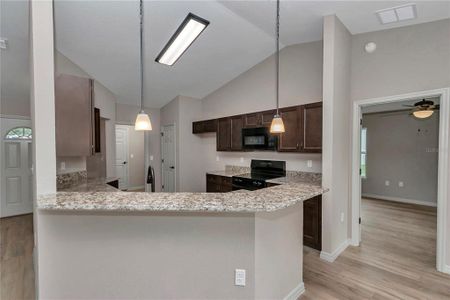 New construction Single-Family house 17 Holly Run, Ocala, FL 34472 - image