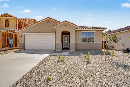 New construction Single-Family house 841 W Angelina Dr, San Tan Valley, AZ 85140 plan Cobalt - image
