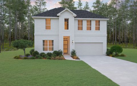 New construction Single-Family house 196 Peninsula Point Drive, Montgomery, TX 77356 - photo 0