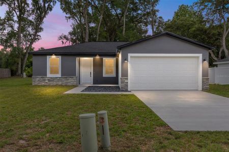 New construction Single-Family house 14481 Se 38Th Ter, Summerfield, FL 34491 - image