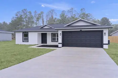 New construction Single-Family house 118 Malauka Lp, Ocklawaha, FL 32179 - image