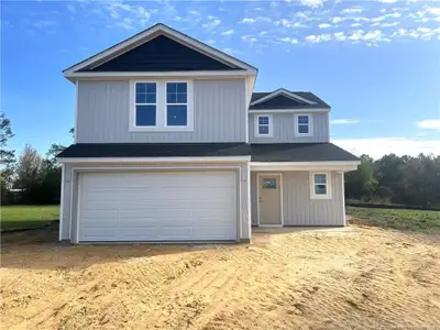 New construction Single-Family house 285 Buggy Top Ln, Autryville, NC 28318 - image