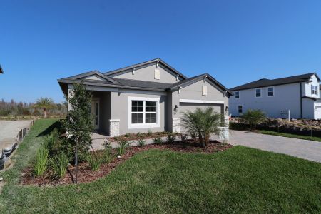 New construction Single-Family house 31229 Denham Ridge Ln, Wesley Chapel, FL 33545 Newport II- photo 112 112