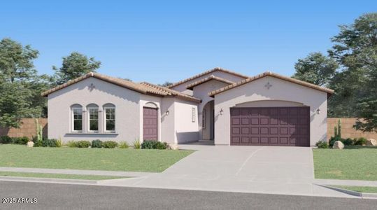 New construction Single-Family house 2701 E Cleo Dr, San Tan Valley, AZ 85143 plan Evolution - image