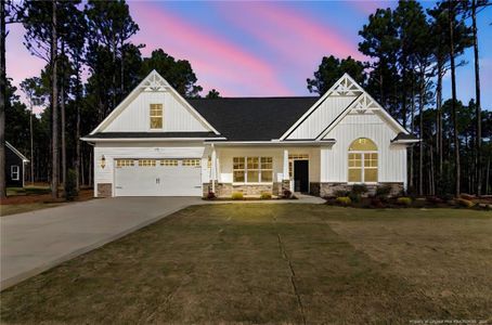 New construction Single-Family house 940 Rhum Dr, Fayetteville, NC 28311 - image