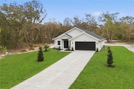 New construction Single-Family house 9342 Wheystone Dr, Webster, FL 33597 - image