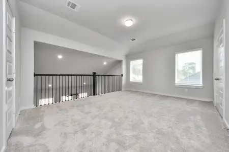 New construction Single-Family house 14831 Diamond Dove Ln, Houston, TX 77049 plan 252 - image 20