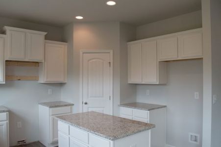 New construction Single-Family house 3844 Ball Ground Hwy, Canton, GA 30114 plan Mayfield - image 6