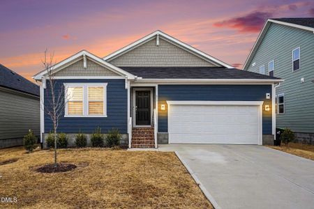 New construction Single-Family house 817 Emmer St, Rolesville, NC 27587 - image