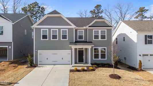 New construction Single-Family house 27 Baird Cove Ln, Angier, NC 27501 - image