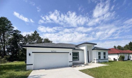 New construction Single-Family house 16700 Sw 20Th Court, Ocala, FL 34473 - photo 0