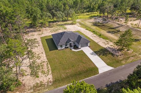New construction Single-Family house 4660 Sw 179Th Pl, Ocala, FL 34473 - image