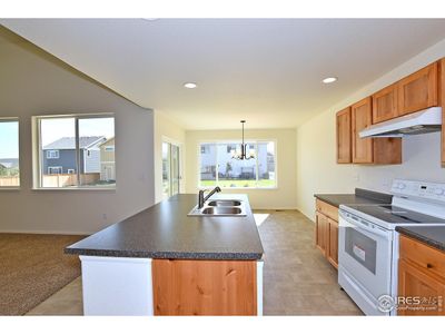 New construction Single-Family house 4845 Grapevine Wy, Johnstown, CO 80534 - image 7