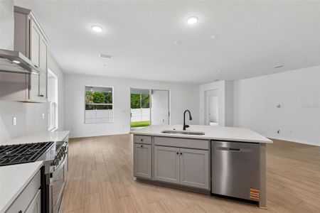 New construction Single-Family house 19709 Fort King Run, Brooksville, FL 34601 - image 15