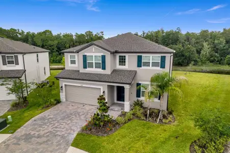 New construction Single-Family house 10742 New Morning Dr, Tampa, FL 33647 - image