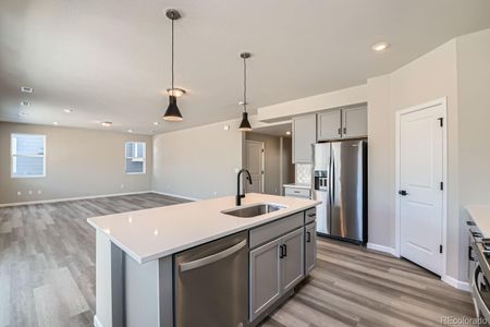 New construction Single-Family house 786 Sawdust Dr, Brighton, CO 80601 null- photo 11 11