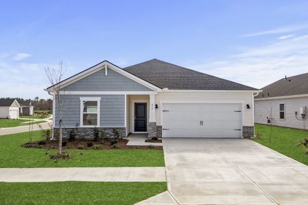 New construction Single-Family house 1024 Lauryn Oak Lp, Longs, SC 29568 plan Buchanan - image