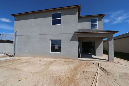 New construction Single-Family house 12219 Hilltop Farms Dr, Dade City, FL 33525 Malibu- photo 75 75