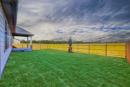 New construction Single-Family house 110 Divisadero Dr, Hutto, TX 78634 plan Brazos | Prairie Winds - image 3