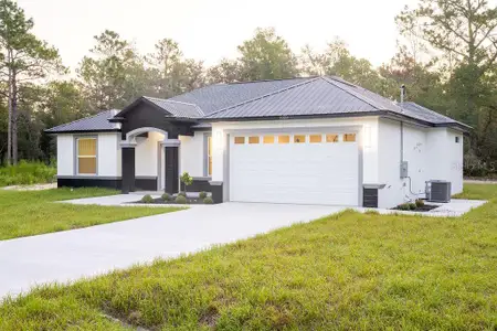 New construction Single-Family house 9229 Sw 125Th Court Rd, Dunnellon, FL 34432 - image