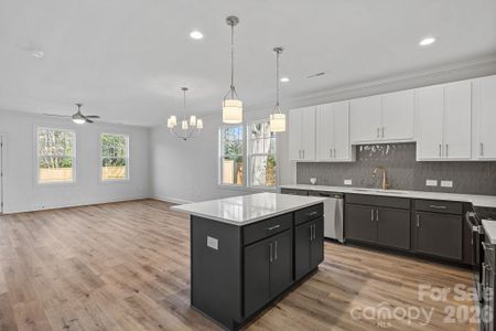 New construction Townhouse house 4420 Northaven Dr, Charlotte, NC 28206 - image 13