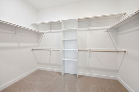 New construction Single-Family house 400 Watertown Dr, McKinney, TX 75071 plan Mesquite - Trees Series - image 16