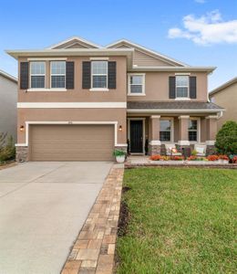 New construction Single-Family house 8910 Sw 50Th Ave, Ocala, FL 34476 - image