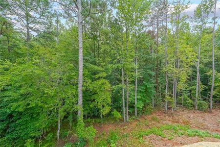 New construction Single-Family house 6315 Carlys Way, Gainesville, GA 30506 - photo 29 29