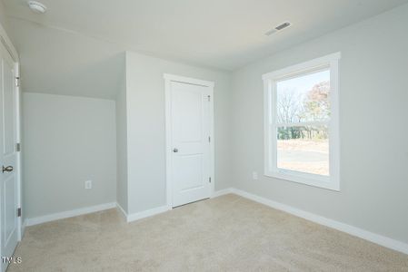 New construction Single-Family house 146 Tupelo Dr, Spring Hope, NC 27882 Brook- photo 15 15