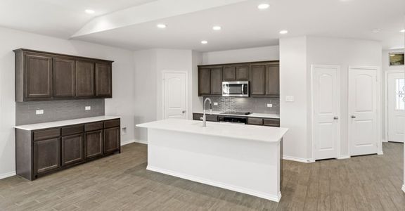 New construction Single-Family house 1620 Macadamia Ct, Aubrey, TX 76227 plan Raleigh - image 6