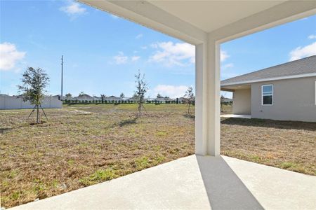 New construction Single-Family house 887 Griffon Ave, Lake Alfred, FL 33850 Tourmaline- photo 15 15