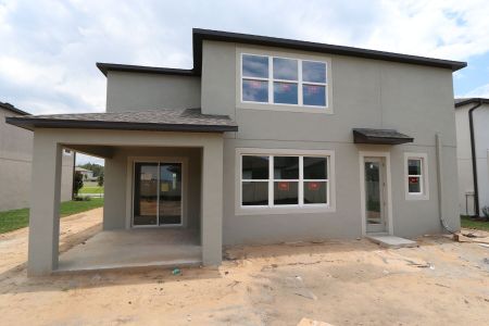 New construction Single-Family house 38433 Pindos Dr, Dade City, FL 33525 Mira Lago- photo 116 116