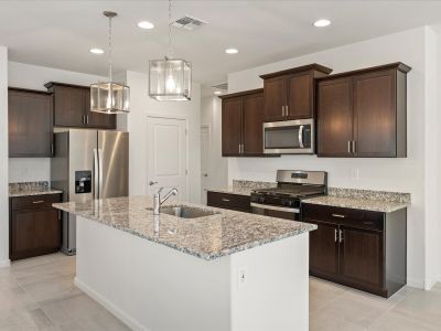New construction Single-Family house 7270 S Gray Jay Dr, Tucson, AZ 85747 plan Coral - image