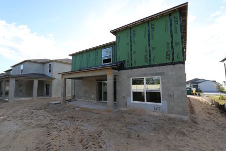 New construction Single-Family house 12146 Hilltop Farms Dr, Dade City, FL 33525 Cabo- photo 68 68