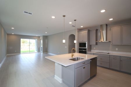 New construction Single-Family house 31229 Denham Ridge Ln, Wesley Chapel, FL 33545 Newport II- photo 62 62