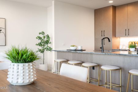 New construction Condo house 115 Morris St, Unit 2501, Durham, NC 27701 - image 17