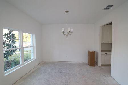 New construction Single-Family house 20288 Oriana Loop, Land O' Lakes, FL 34638 Coronado II- photo 78 78