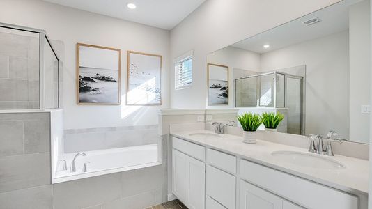 Diamond Springs: Diamond Springs 50s 7