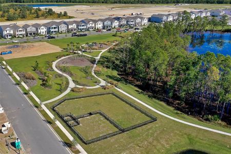 Harvest at Ovation - Townhomes by Rockwell Homes in Winter Garden - photo 3 3