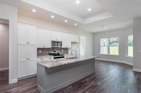 New construction Single-Family house 2073 Nw 79Th Lp, Ocala, FL 34475 null- photo 14 14