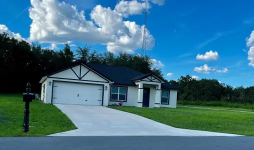 New construction Single-Family house 15200 Sw 60Th Cir, Ocala, FL 34473 - image