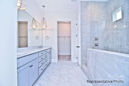 New construction Single-Family house 4178 Millstream Rd, Denver, NC 28037 - image 7