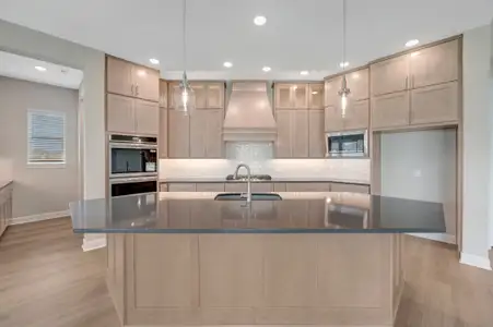 New construction Single-Family house 20515 Via Mimosa Dr, Cypress, TX 77433 plan The Dandelion - image 13