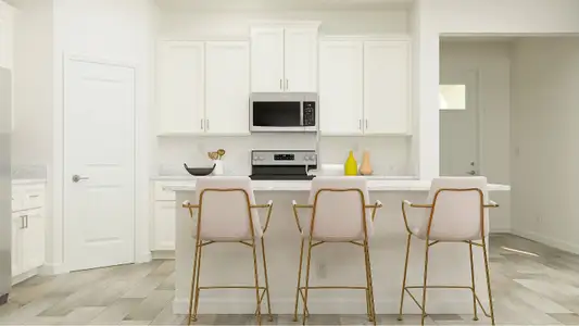 New construction Single-Family house 31878 Griffin Sands Ln, San Antonio, FL 33576 plan Splendor II - image