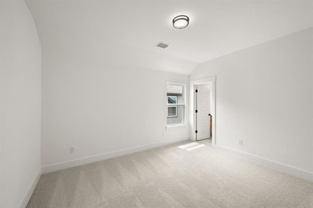 New construction Single-Family house 17141 Oxborough Dr, Fort Worth, TX 76247 - image 18