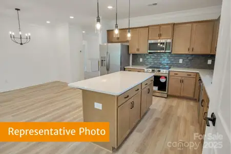 New construction Single-Family house 506 Lively Cres, Monroe, NC 28110 - image