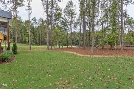 New construction Single-Family house 04 Rice Rd, Unit 04, Zebulon, NC 27597 Charlotte- photo 69 69