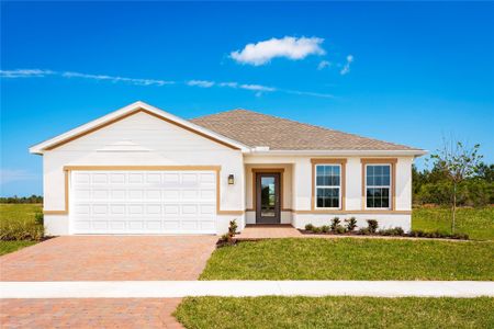 New construction Single-Family house 355 Rumine Circle, Vero Beach, FL 32967 - photo 0